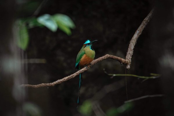 Can Rear Seat Entertainment Systems Be Easily Added to a Dodge Durango?